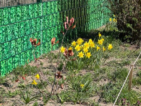Endlich Frühling